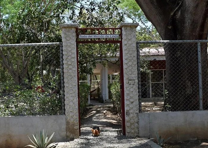 Todo Del Mundo De Linda * Sardinal (Guanacaste)