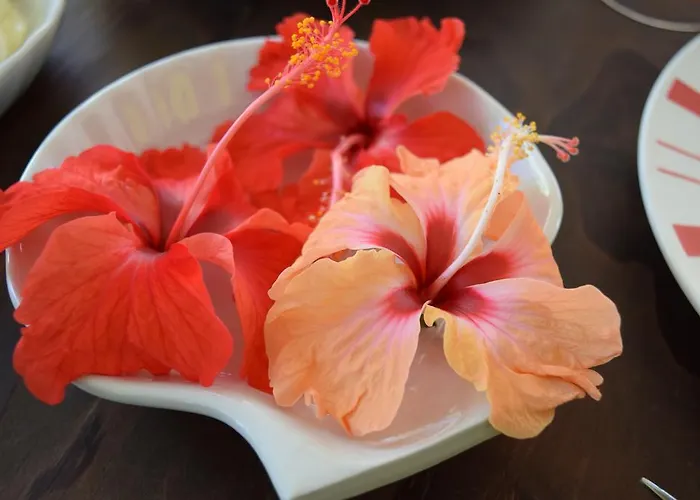 Todo Del Mundo De Linda Bed & Breakfast Sardinal (Guanacaste)